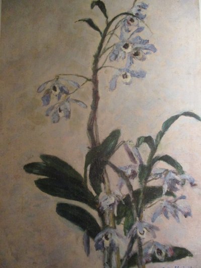 Die Orchideen von Gustave Caillebotte